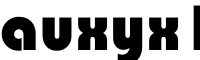 auxyx12396ci bags